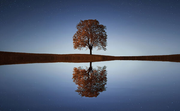 ภาพขนาดย่อ